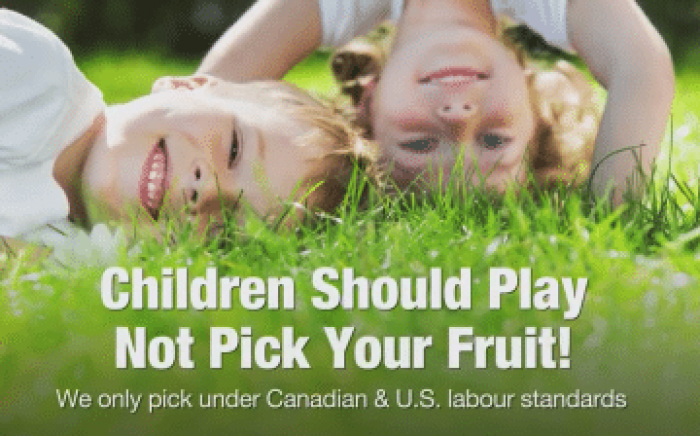 Children Should Play, Not Pick Your Fruit