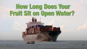 how long does your fruit sit on open water
